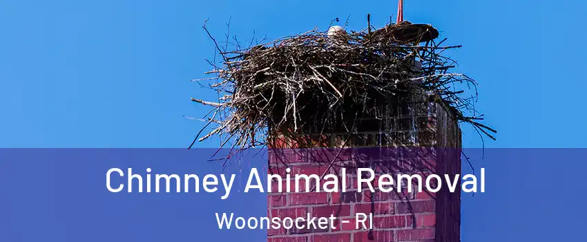 Chimney Animal Removal Woonsocket - RI