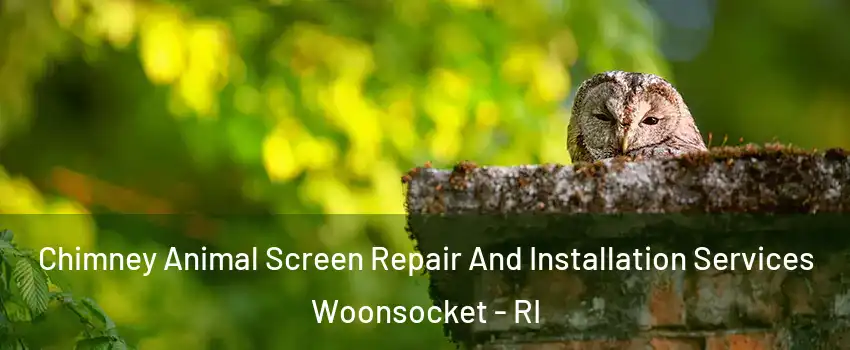  Chimney Animal Screen Repair And Installation Services Woonsocket - RI