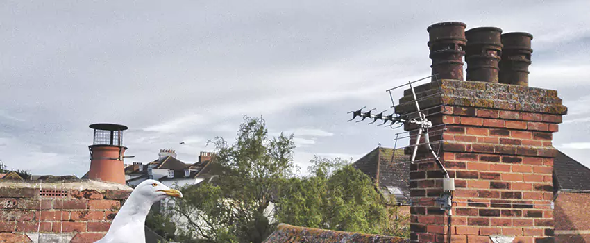 Chimney Cleaning And Restoration in Woonsocket, Rhode Island